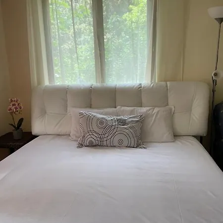 شقة Rich-1 Sp رافدا