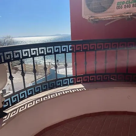 Rich-1 Sp رافدا