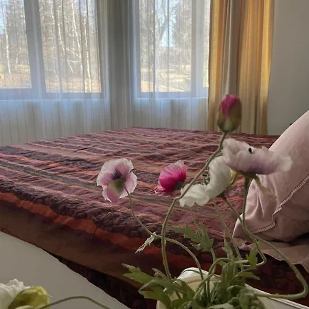 Rich-1 Sp رافدا