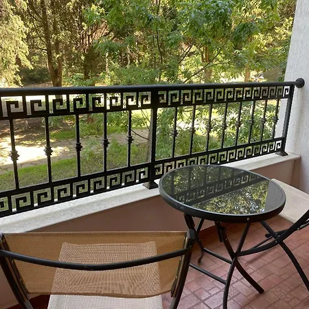 Rich-1 Sp * رافدا