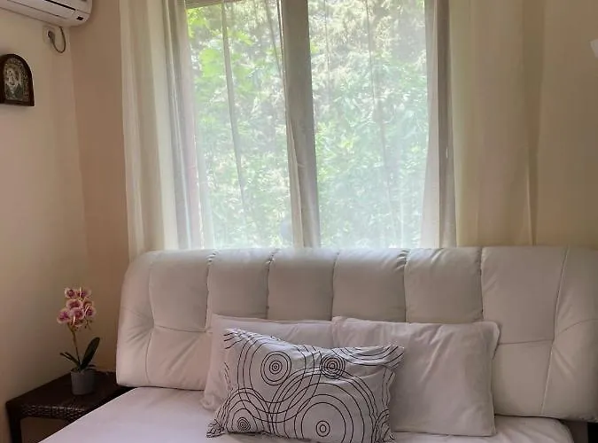 Apartment Rich-1 Sp *